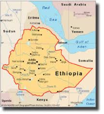 Urgent Call to Address Escalating Human Rights Violations and Crisis in Amhara, Ethiopia