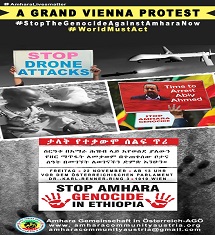 Amhara Genocide